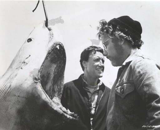jaws