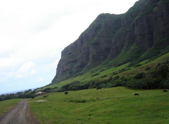 kualoa