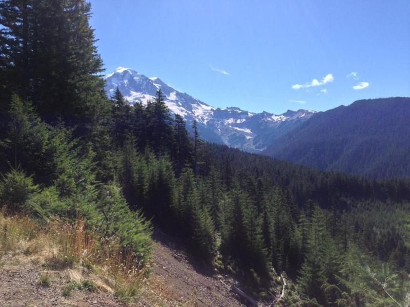 Mount Rainier day hike